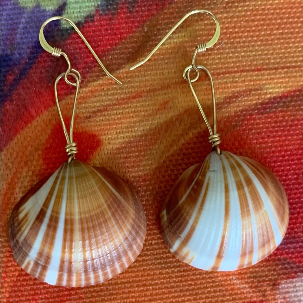 Beautiful Summer shell earrings with gold filled wiring.